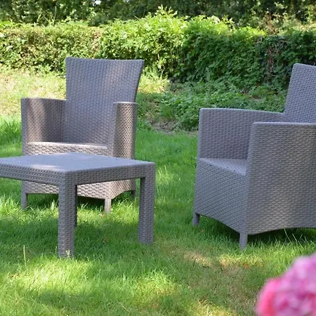 Les Hortensias * Crouay