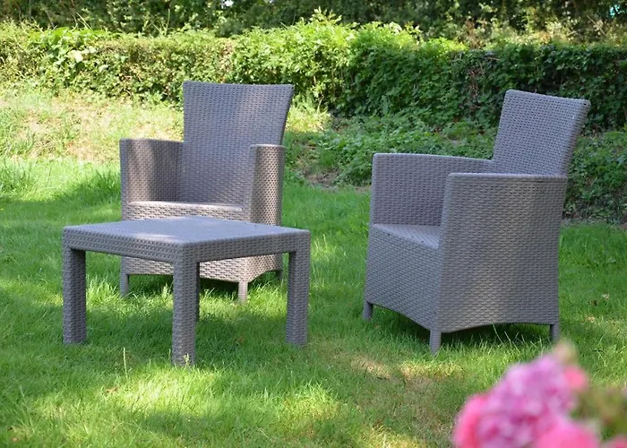 Les Hortensias * Crouay